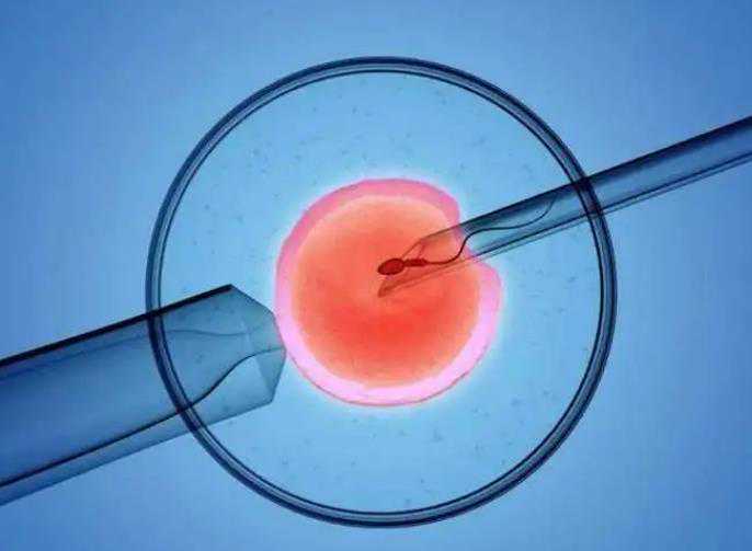 西安代孕怎样移植胚胎,「三代试管西安」咸阳第三代试管能排查什么病
